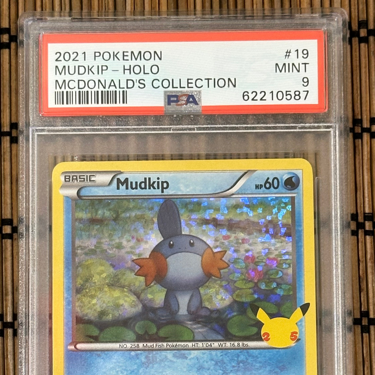 Mudkip (19/25) (PSA 9) GoldenFishGames Mudkip (19/25) (PSA 9) GoldenFishGames