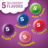 Skittles (Wild Berry 2.17oz)