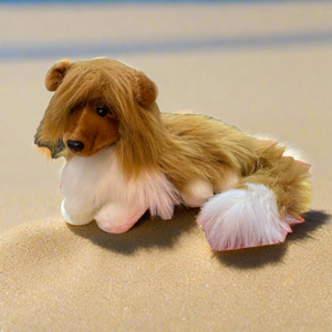 Descriptive image text