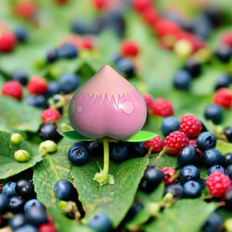 Pokemon: Pacha Berry Toy