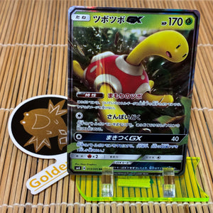 Shuckle GX (013/095)