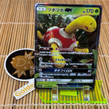 Shuckle GX (013/095)