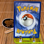 Arcanine ex (224/198)