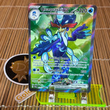 Quaquaval ex (235/193)