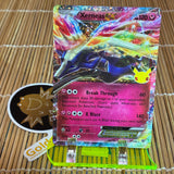 Xerneas EX (97/146)