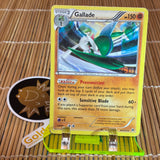 Gallade (84/162) (Moderate Play)