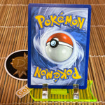M Pidgeot EX (65/108) (Light Play)