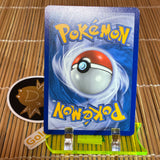 Zoroark (BW09)