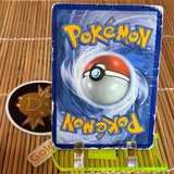 Volcanion EX (XY173) (Damaged)