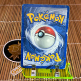 Tyranitar (31/75) (Damaged)