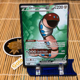 Orthworm ex (162/142)