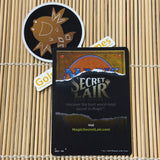 Ravage (002) Transformers