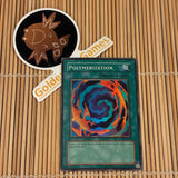 Polymerization (LOB-059)