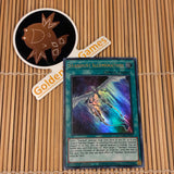 Stardust Illumination (DAMA-EN051)