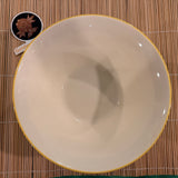 Pokémon Ceramic Food Dish (Pikachu Noodle Bowl 7.5")