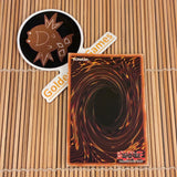 Miscellaneousaurus (RA04-EN022)