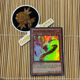 Solar Flare Dragon (LCYW-EN254)
