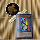 Rescue Rabbit (RA02-EN008)