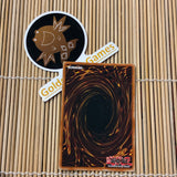 Kaiser Sea Horse (SKE-015)