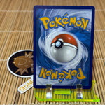 Zapdos (012/034)