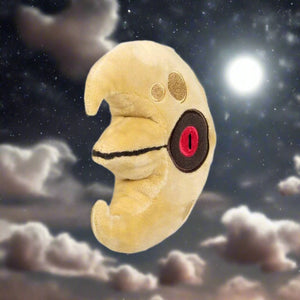 Lunatone Sitting Cutie