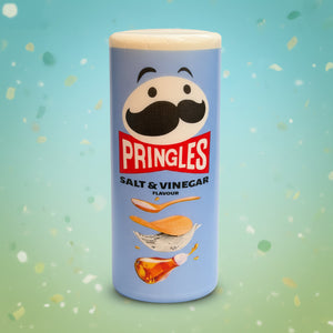 Pringles Can Squishy (Salt & Vinegar)