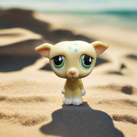 Littlest Pet Shop #875 Greyhound